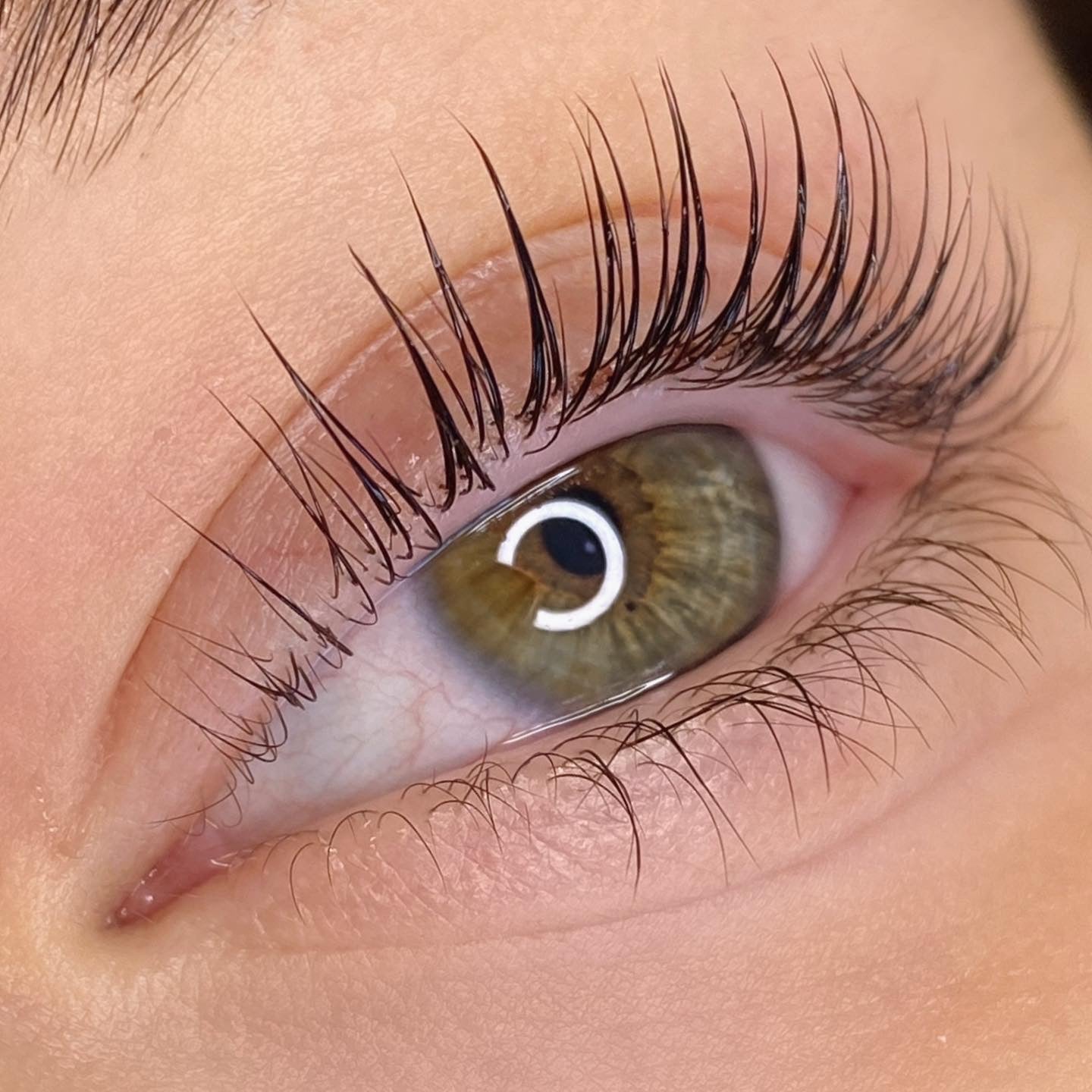 Elleeplex Profusion Lash Lift and Brow Lamination 1 Day Course image 5