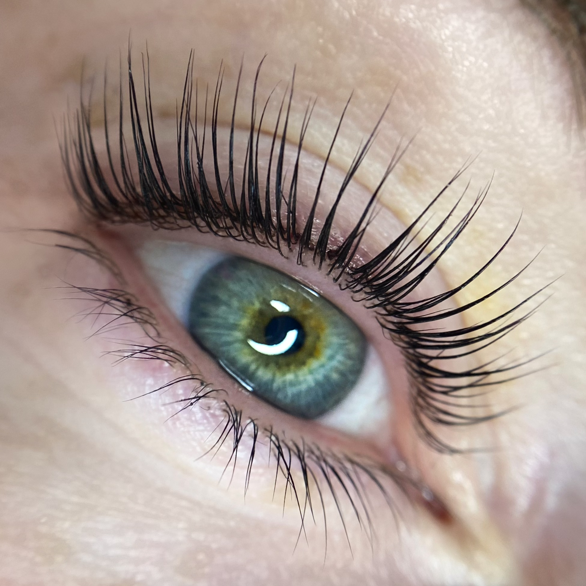 Elleeplex Profusion Lash Lamination 1 Day Course image 3