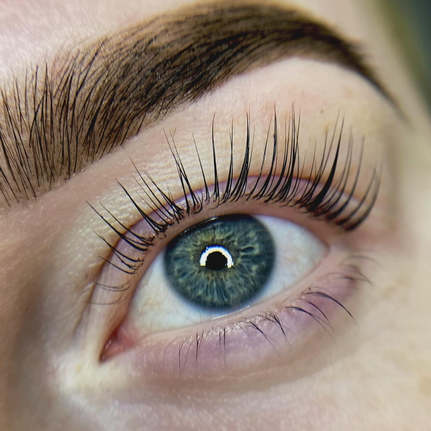 Elleeplex Profusion Lash Lamination 1 Day Course image 10
