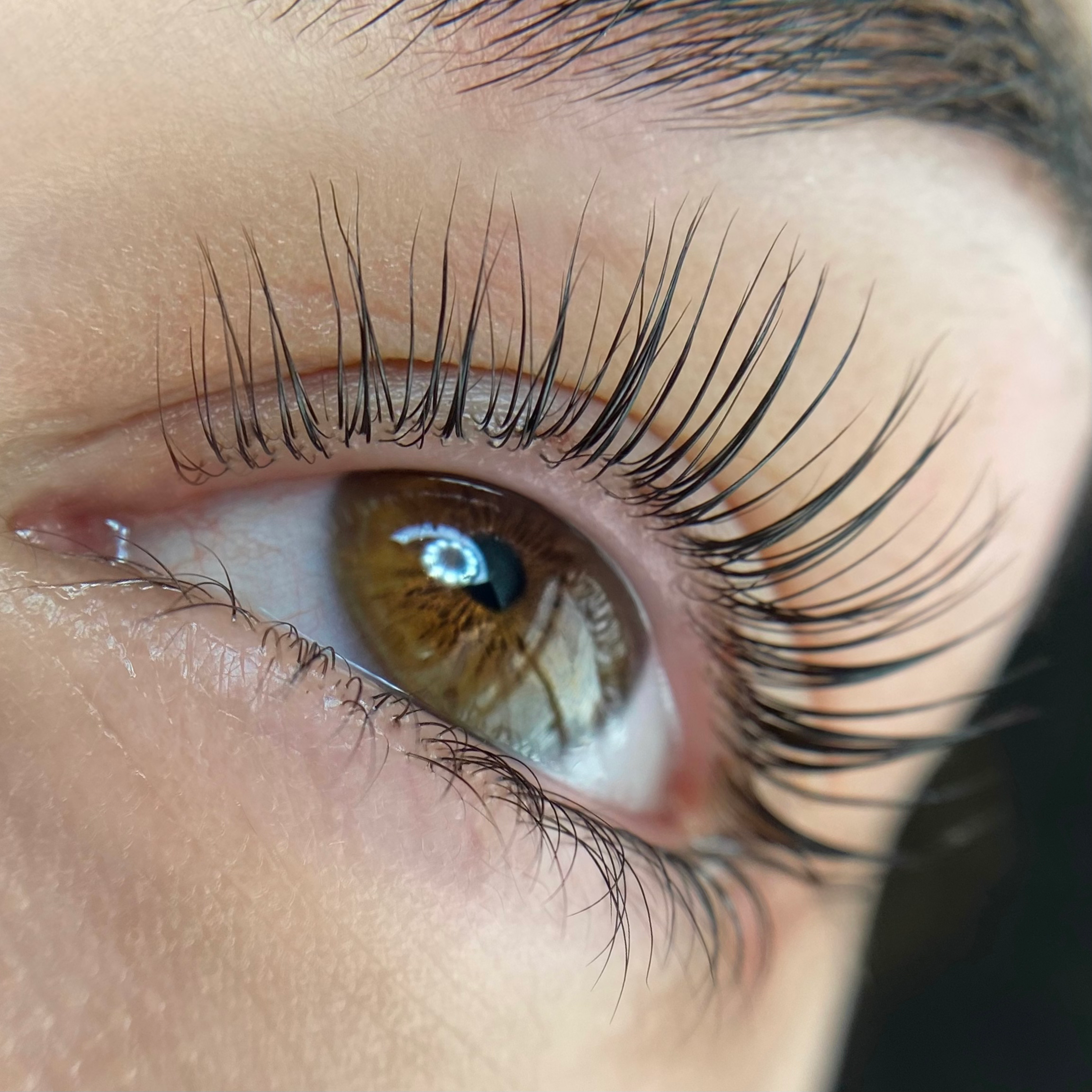 Elleeplex Profusion Lash Lamination 1 Day Course image 6