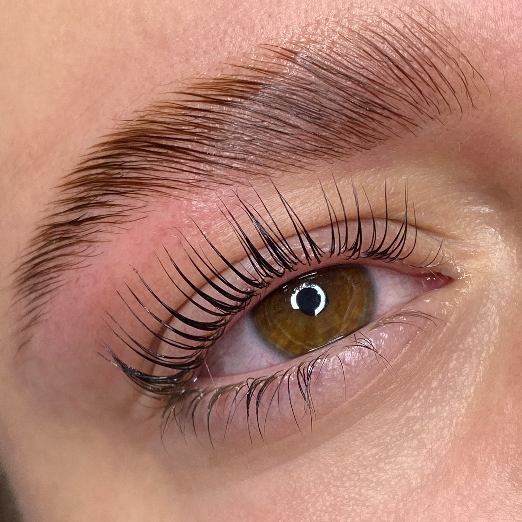 Elleeplex Profusion Lash Lift and Brow Lamination 1 Day Course image 4