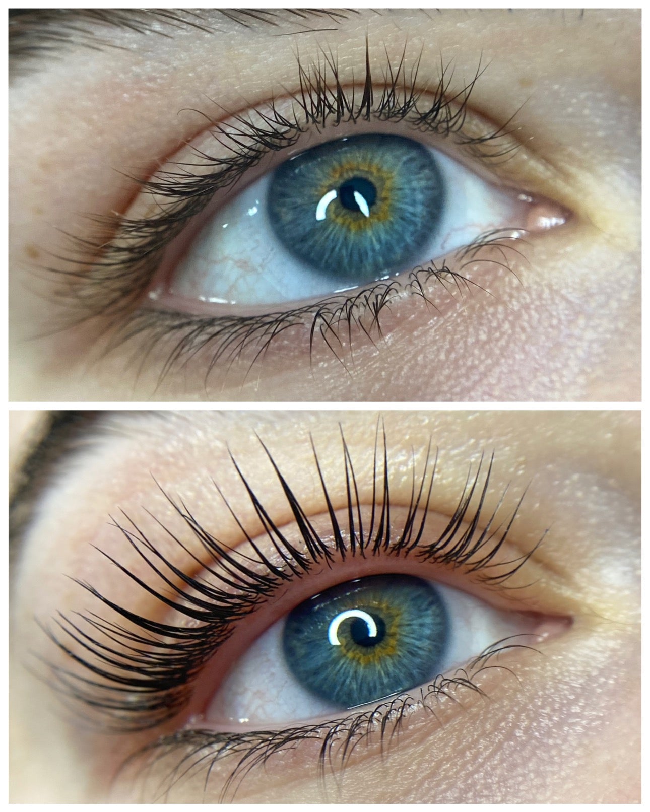 Online - Elleeplex Profusion Lash & Brow Lamination Course image 3