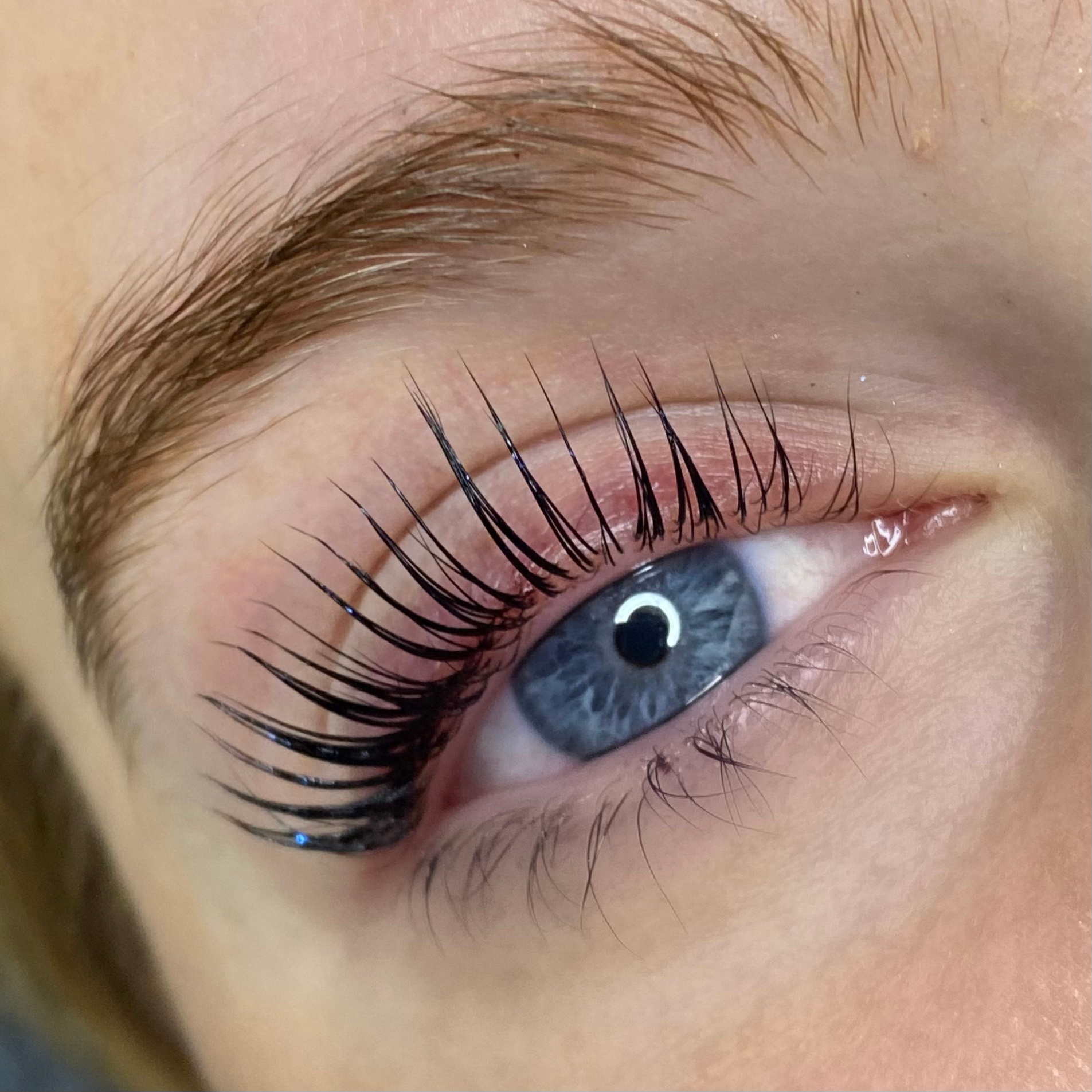 Elleeplex Profusion Lash Lift and Brow Lamination 1 Day Course image 3