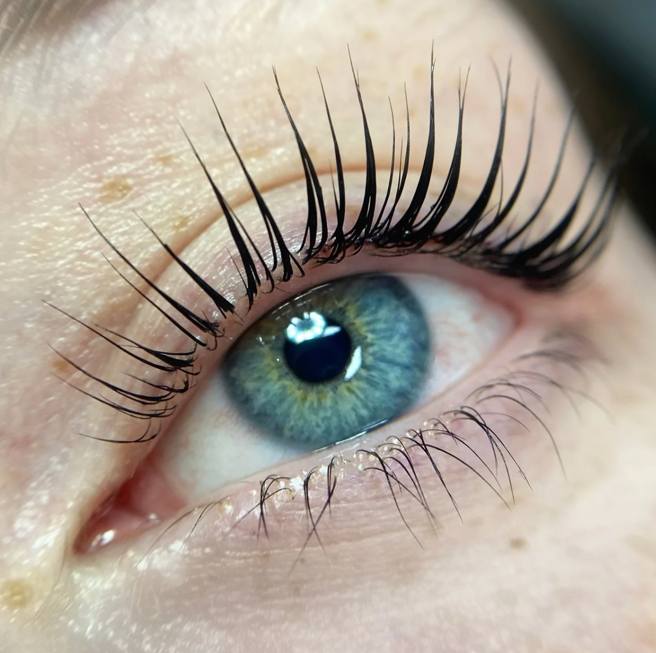 Online Conversion - Elleeplex  Profusion Lash & Brow Lamination image 6