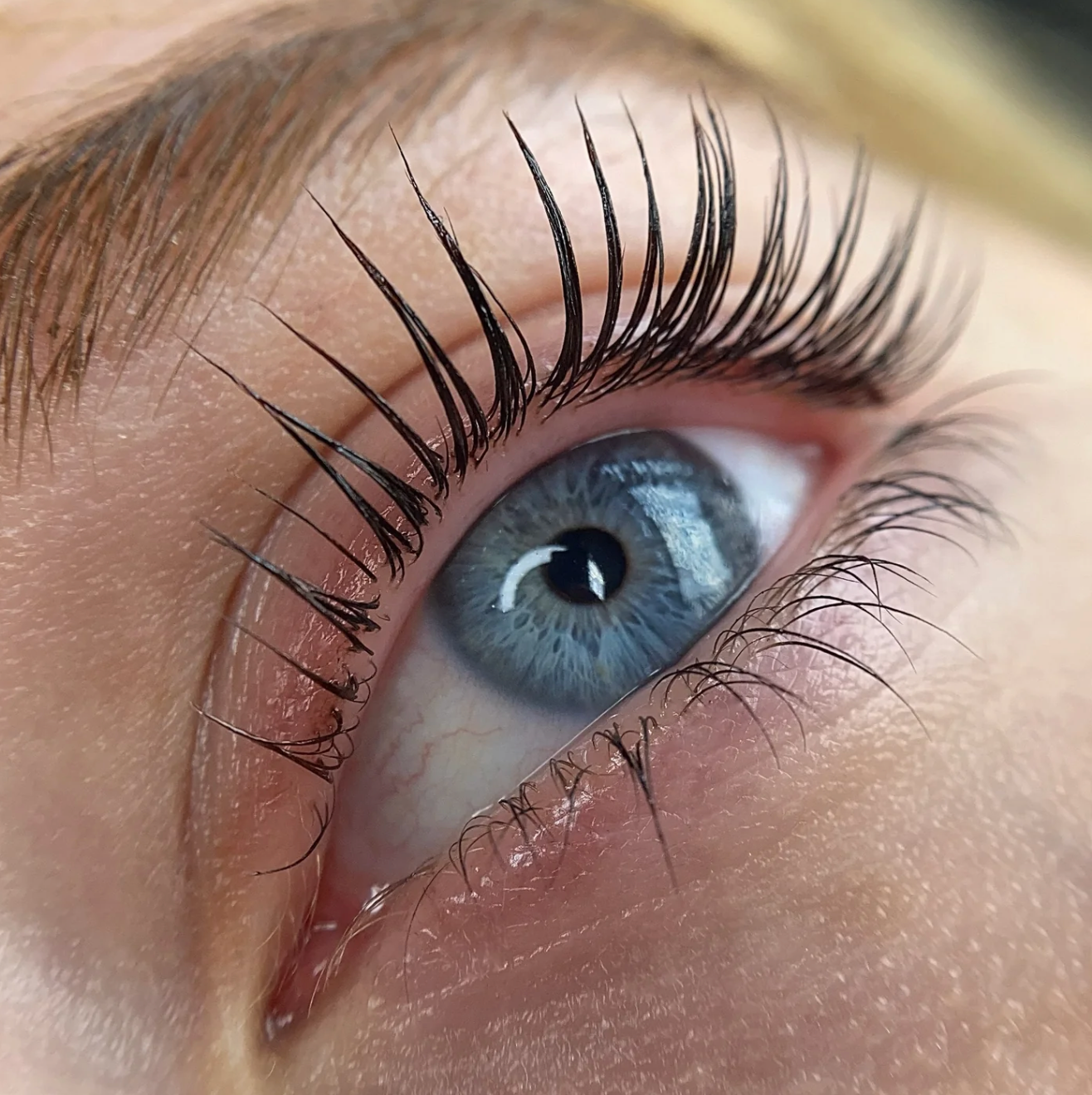 Online Conversion - Elleeplex  Profusion Lash & Brow Lamination image 5