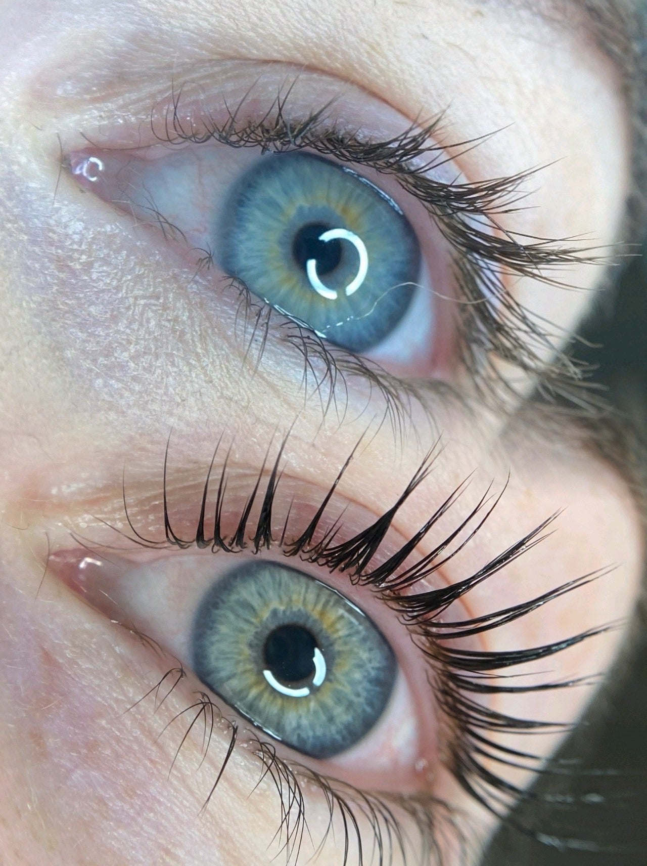 Elleebana Lash Lift  1 Day Course image 3