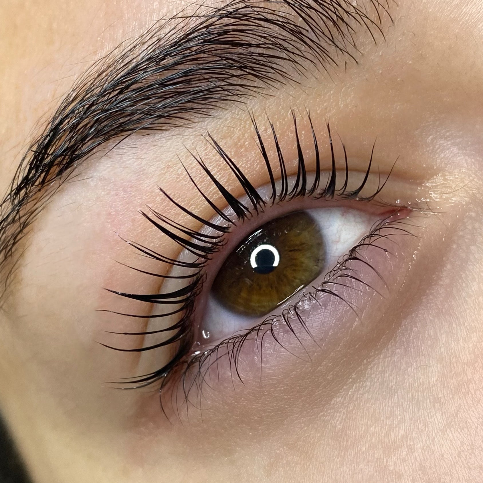 Elleeplex Profusion Lash Lamination 1 Day Course image 8