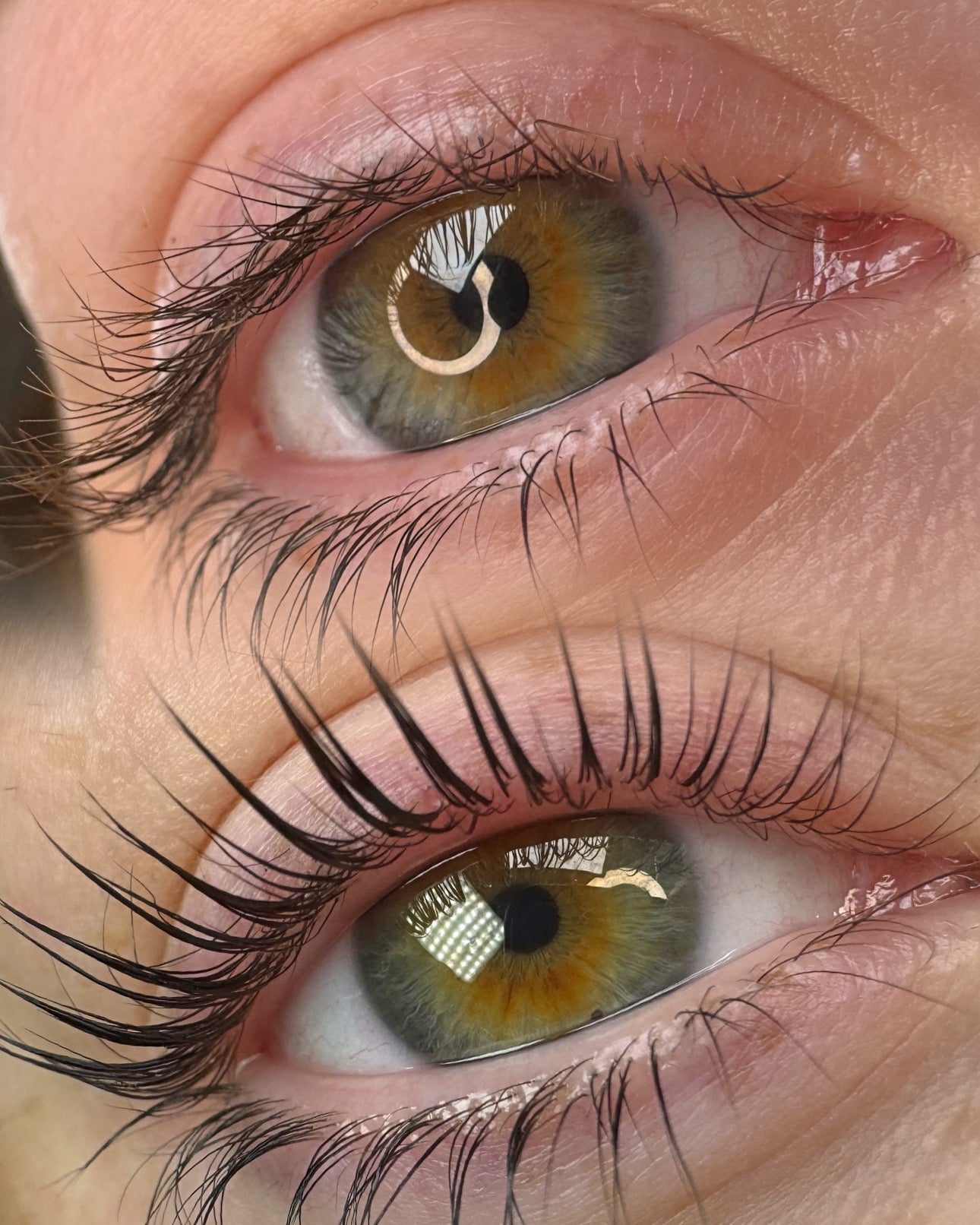 Online - Elleeplex Profusion Lash & Brow Lamination Course image 4