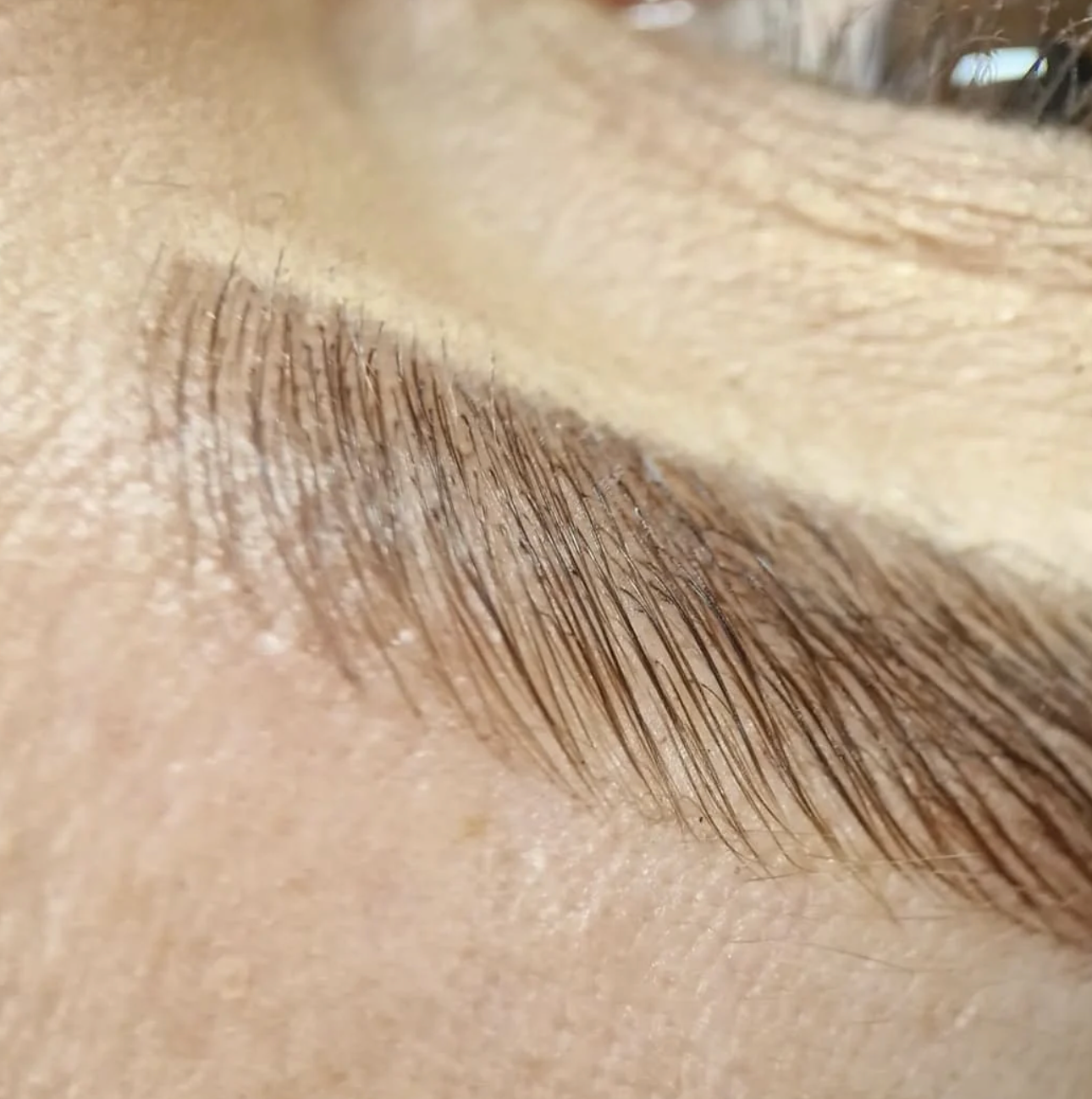 Online Conversion - Elleeplex  Profusion Lash & Brow Lamination image 2