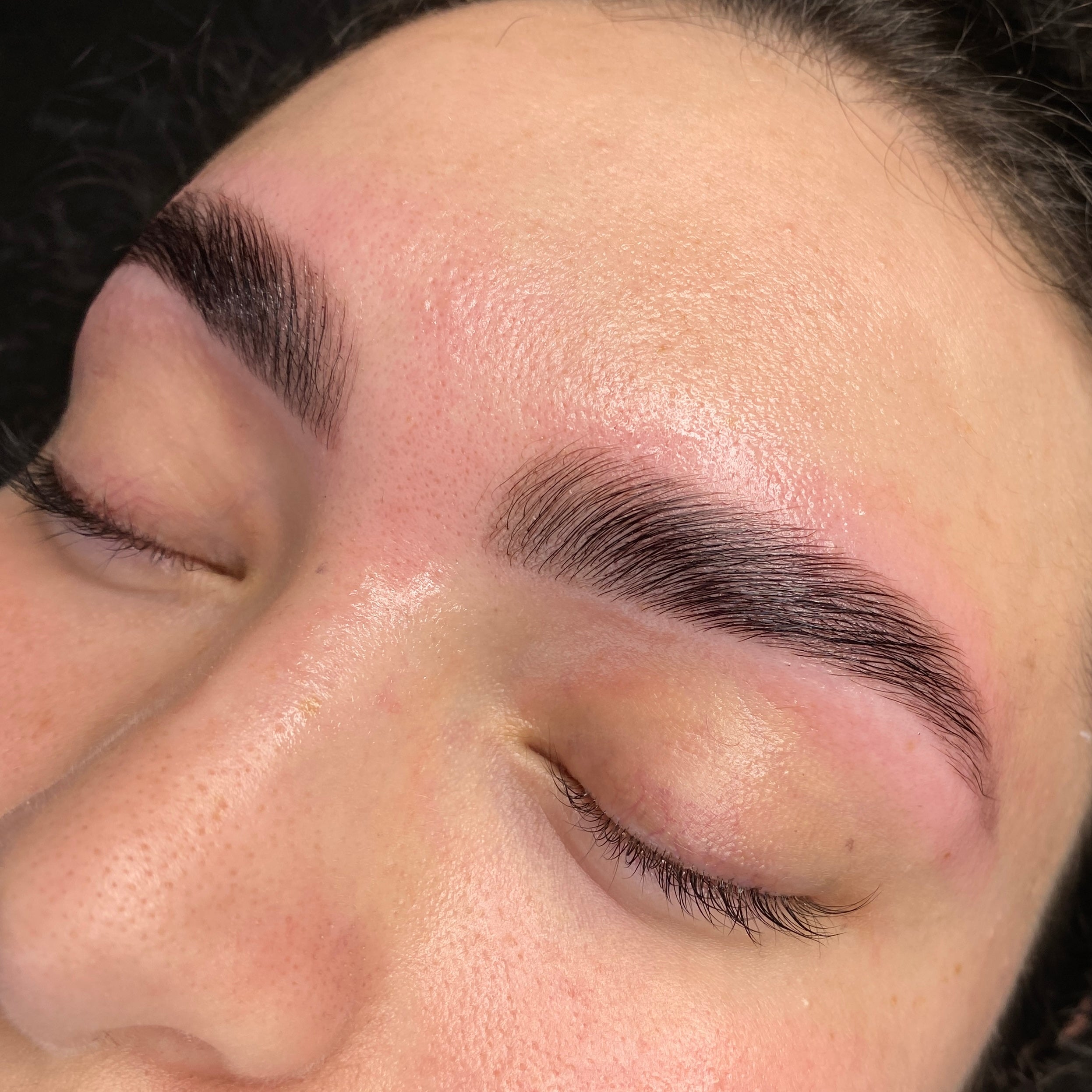 Elleeplex Profusion Brow Lamination 1 Day Course image 4